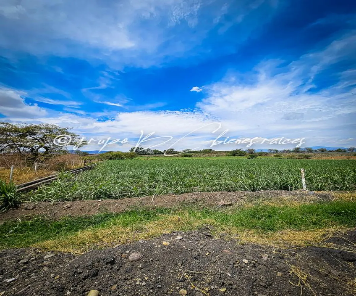 Terreno En Venta,32 Batallón de Infantería,Ingeniero Antonio Arroniz Topete S/N, Ameca, Jalisco 46600,Ingeniero Antonio Arroniz Topete,psVY9yI Terreno En Venta,32 Batallón de Infantería,Ingeniero Antonio Arroniz Topete S/N, Ameca, Jalisco 46600,Ingeniero Antonio Arroniz Topete,psVY9yI