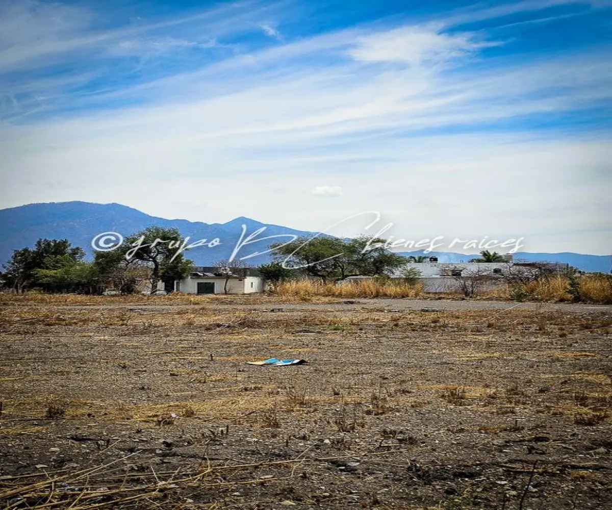 Terreno En Venta,32 Batallón de Infantería,Ingeniero Antonio Arroniz Topete S/N, Ameca, Jalisco 46600,Ingeniero Antonio Arroniz Topete,psVY9yI Terreno En Venta,32 Batallón de Infantería,Ingeniero Antonio Arroniz Topete S/N, Ameca, Jalisco 46600,Ingeniero Antonio Arroniz Topete,psVY9yI
