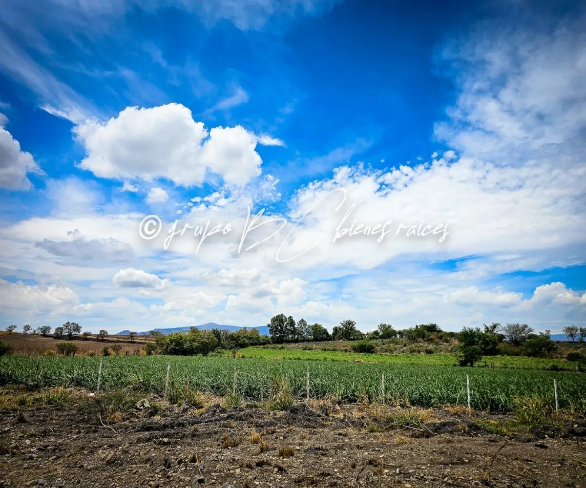 Terreno En Venta,32 Batallón de Infantería,Ingeniero Antonio Arroniz Topete S/N, Ameca, Jalisco 46600,Ingeniero Antonio Arroniz Topete,psVY9yI Terreno En Venta,32 Batallón de Infantería,Ingeniero Antonio Arroniz Topete S/N, Ameca, Jalisco 46600,Ingeniero Antonio Arroniz Topete,psVY9yI