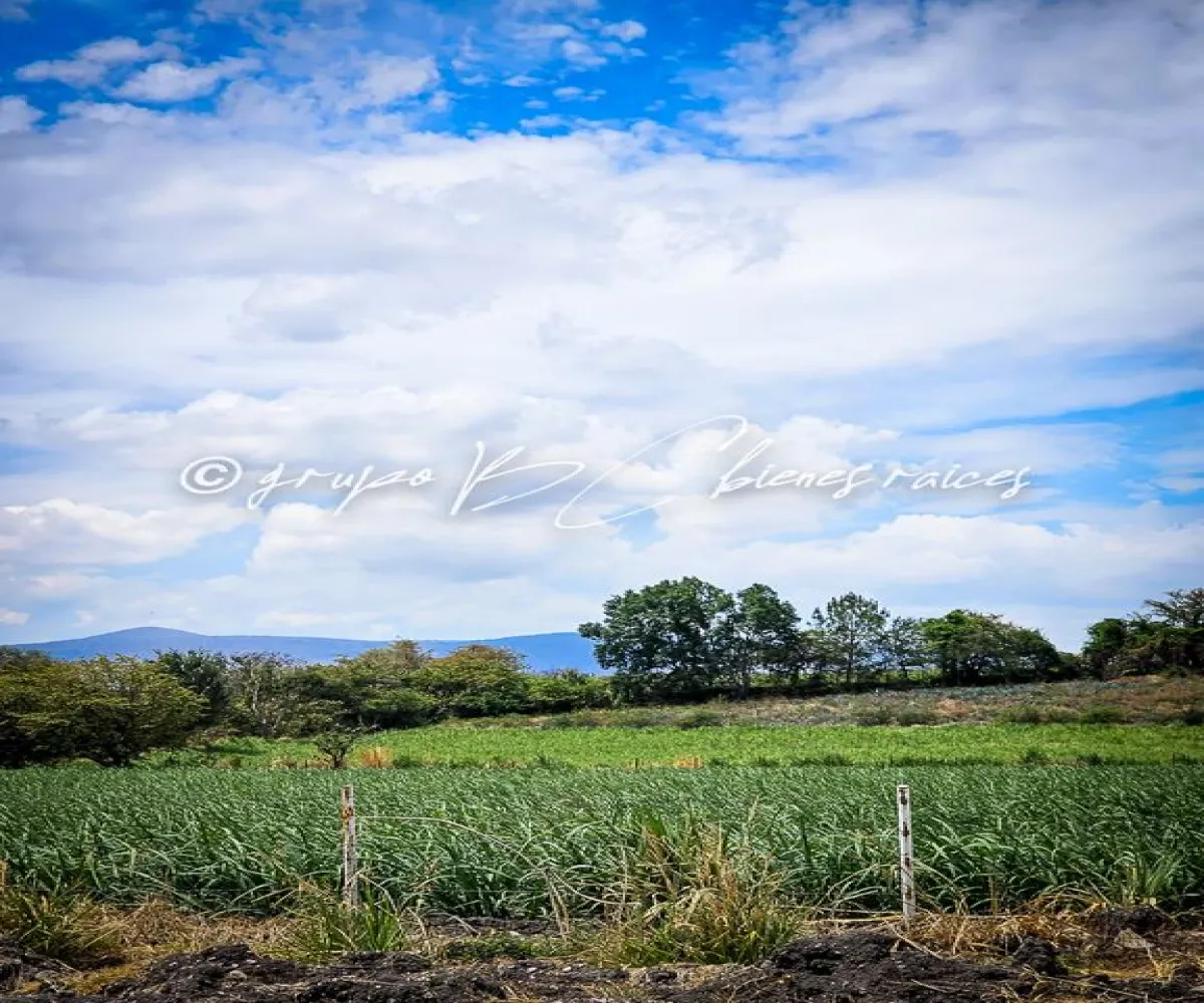 Terreno En Venta,32 Batallón de Infantería,Ingeniero Antonio Arroniz Topete S/N, Ameca, Jalisco 46600,Ingeniero Antonio Arroniz Topete,psVY9yI Terreno En Venta,32 Batallón de Infantería,Ingeniero Antonio Arroniz Topete S/N, Ameca, Jalisco 46600,Ingeniero Antonio Arroniz Topete,psVY9yI