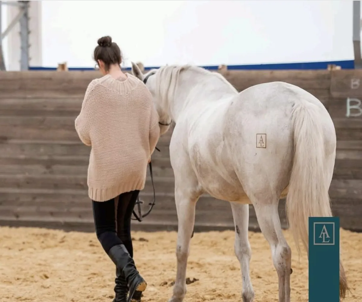 Casa En Venta,jocotepec ,Camino a San Martin #1000 S/N, Jocotepec, Jalisco 45836, 3 Habitaciones,4 Baños,Camino a San Martin #1000,1,pdnPq89