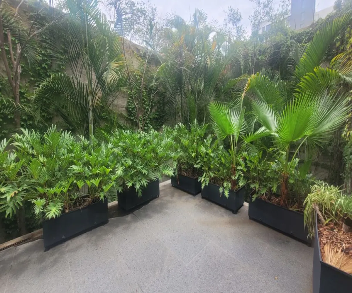 Edificio En Venta,OBRERA,EFRAIN GONZALEZ LUNA 2288, Guadalajara, Jalisco 44140, 5 Habitaciones,5 Baños,EFRAIN GONZALEZ LUNA,1,p8kYkuF Edificio En Venta,OBRERA,EFRAIN GONZALEZ LUNA 2288, Guadalajara, Jalisco 44140, 5 Habitaciones,5 Baños,EFRAIN GONZALEZ LUNA,1,p8kYkuF