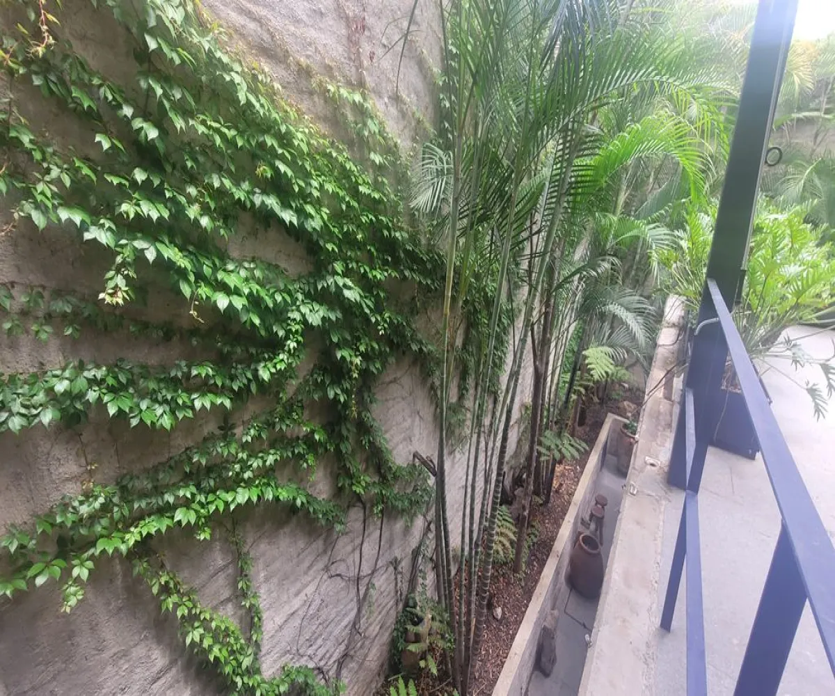 Edificio En Venta,OBRERA,EFRAIN GONZALEZ LUNA 2288, Guadalajara, Jalisco 44140, 5 Habitaciones,5 Baños,EFRAIN GONZALEZ LUNA,1,p8kYkuF Edificio En Venta,OBRERA,EFRAIN GONZALEZ LUNA 2288, Guadalajara, Jalisco 44140, 5 Habitaciones,5 Baños,EFRAIN GONZALEZ LUNA,1,p8kYkuF