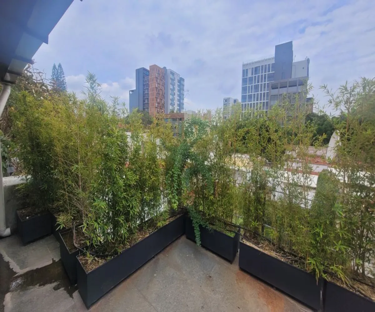 Edificio En Venta,OBRERA,EFRAIN GONZALEZ LUNA 2288, Guadalajara, Jalisco 44140, 5 Habitaciones,5 Baños,EFRAIN GONZALEZ LUNA,1,p8kYkuF Edificio En Venta,OBRERA,EFRAIN GONZALEZ LUNA 2288, Guadalajara, Jalisco 44140, 5 Habitaciones,5 Baños,EFRAIN GONZALEZ LUNA,1,p8kYkuF