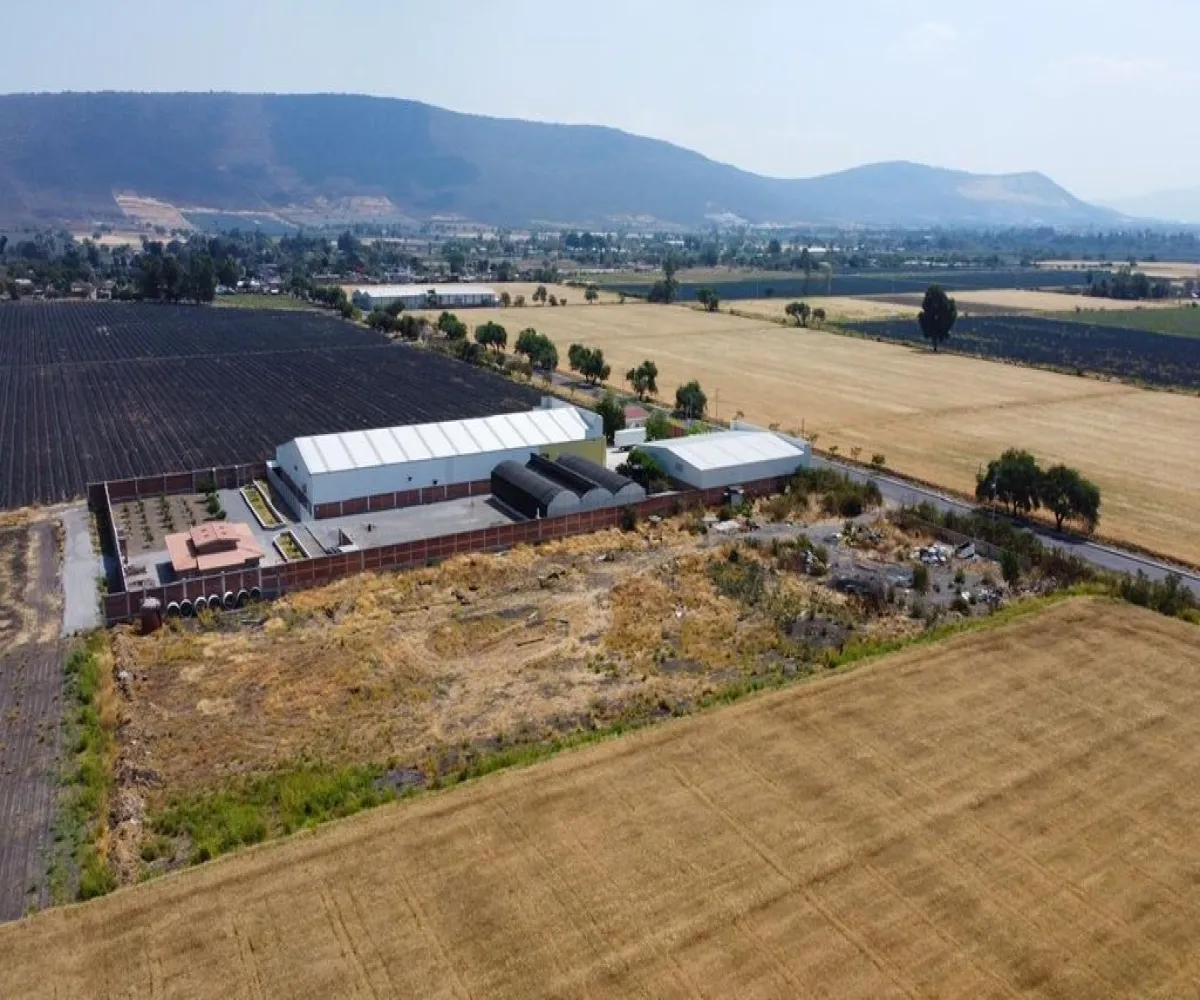 Terreno En Venta,poncitlan,Camino a san Luis del agua caliente 1, Poncitlán, Jalisco 45950,Camino a san Luis del agua caliente,p4XU9iw Terreno En Venta,poncitlan,Camino a san Luis del agua caliente 1, Poncitlán, Jalisco 45950,Camino a san Luis del agua caliente,p4XU9iw