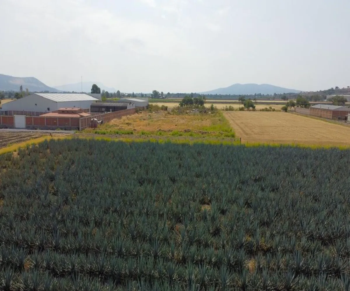 Terreno En Venta,poncitlan,Camino a san Luis del agua caliente 1, Poncitlán, Jalisco 45950,Camino a san Luis del agua caliente,p4XU9iw Terreno En Venta,poncitlan,Camino a san Luis del agua caliente 1, Poncitlán, Jalisco 45950,Camino a san Luis del agua caliente,p4XU9iw