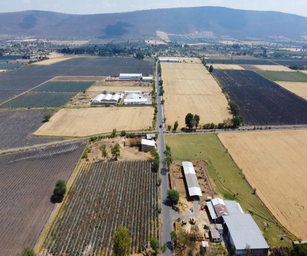 Terreno En Venta,poncitlan,Camino a san Luis del agua caliente 1, Poncitlán, Jalisco 45950,Camino a san Luis del agua caliente,p4XU9iw Terreno En Venta,poncitlan,Camino a san Luis del agua caliente 1, Poncitlán, Jalisco 45950,Camino a san Luis del agua caliente,p4XU9iw