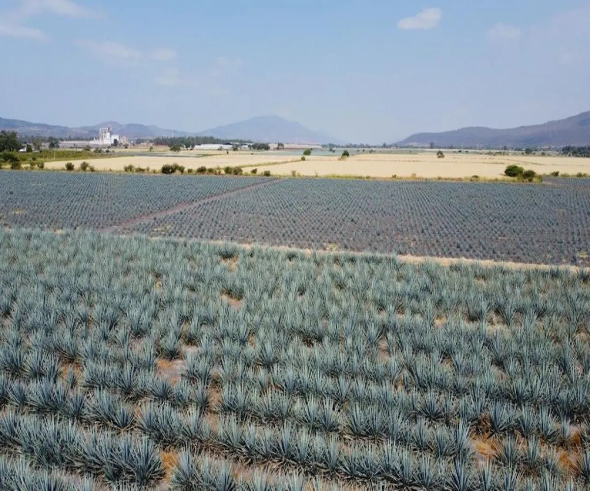 Terreno En Venta,poncitlan,Camino a san Luis del agua caliente 1, Poncitlán, Jalisco 45950,Camino a san Luis del agua caliente,p4XU9iw Terreno En Venta,poncitlan,Camino a san Luis del agua caliente 1, Poncitlán, Jalisco 45950,Camino a san Luis del agua caliente,p4XU9iw