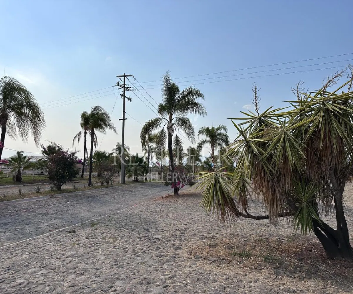 Terreno En Venta,Potrero tecomatitos 2, Teuchitlán, Jalisco 45325,Potrero tecomatitos,pL4UsM4 Terreno En Venta,Potrero tecomatitos 2, Teuchitlán, Jalisco 45325,Potrero tecomatitos,pL4UsM4