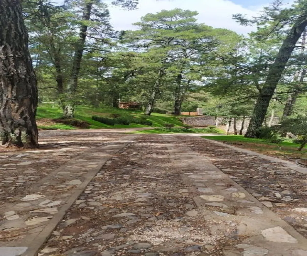 Terreno En Venta,Carretera a Tapalpa 436, Tapalpa, Jalisco 49340,Carretera a Tapalpa,pISlu6k Terreno En Venta,Carretera a Tapalpa 436, Tapalpa, Jalisco 49340,Carretera a Tapalpa,pISlu6k