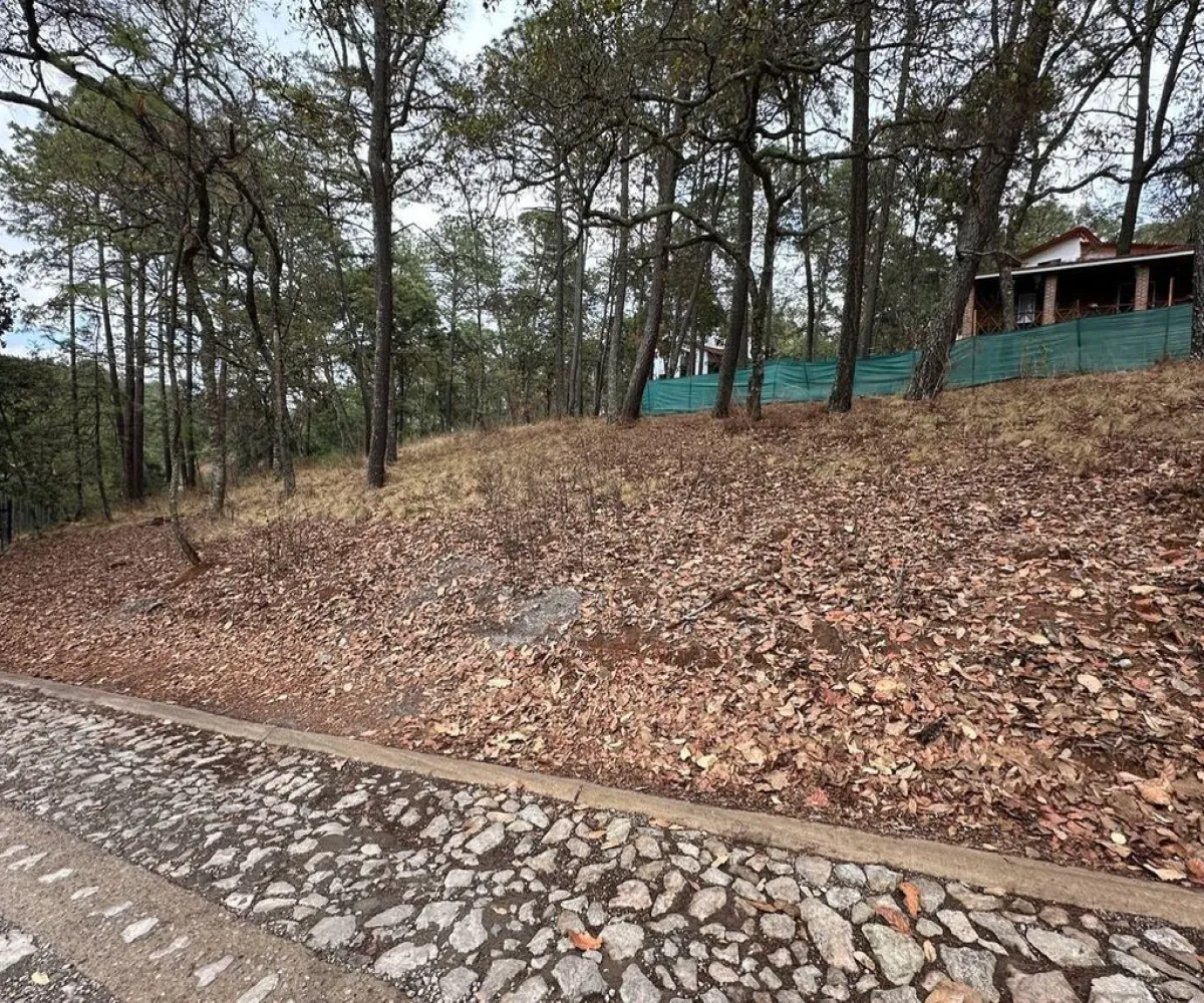 Terreno En Venta,Carretera a Tapalpa 436, Tapalpa, Jalisco 49340,Carretera a Tapalpa,pISlu6k Terreno En Venta,Carretera a Tapalpa 436, Tapalpa, Jalisco 49340,Carretera a Tapalpa,pISlu6k