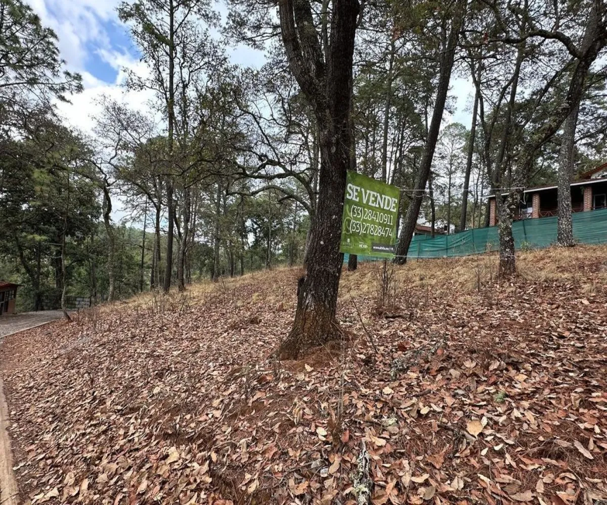 Terreno En Venta,Carretera a Tapalpa 436, Tapalpa, Jalisco 49340,Carretera a Tapalpa,pISlu6k Terreno En Venta,Carretera a Tapalpa 436, Tapalpa, Jalisco 49340,Carretera a Tapalpa,pISlu6k
