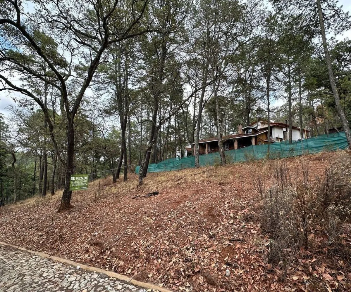 Terreno En Venta,Carretera a Tapalpa 436, Tapalpa, Jalisco 49340,Carretera a Tapalpa,pISlu6k Terreno En Venta,Carretera a Tapalpa 436, Tapalpa, Jalisco 49340,Carretera a Tapalpa,pISlu6k