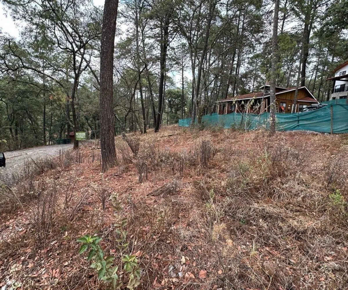 Terreno En Venta,Carretera a Tapalpa 436, Tapalpa, Jalisco 49340,Carretera a Tapalpa,pISlu6k Terreno En Venta,Carretera a Tapalpa 436, Tapalpa, Jalisco 49340,Carretera a Tapalpa,pISlu6k
