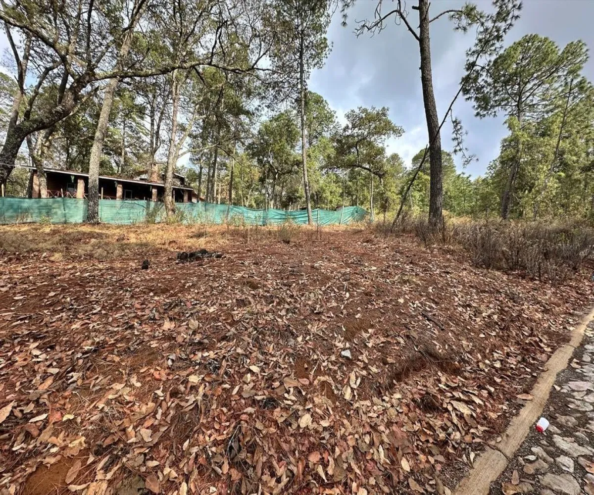 Terreno En Venta,Carretera a Tapalpa 436, Tapalpa, Jalisco 49340,Carretera a Tapalpa,pISlu6k Terreno En Venta,Carretera a Tapalpa 436, Tapalpa, Jalisco 49340,Carretera a Tapalpa,pISlu6k