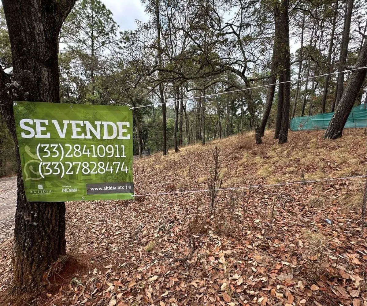 Terreno En Venta,Carretera a Tapalpa 436, Tapalpa, Jalisco 49340,Carretera a Tapalpa,pISlu6k Terreno En Venta,Carretera a Tapalpa 436, Tapalpa, Jalisco 49340,Carretera a Tapalpa,pISlu6k