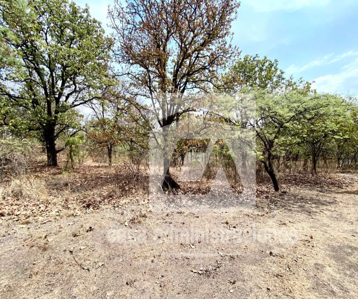 Terreno En Venta,El Roble,Privada de loe Encinos 55 1, El Arenal, Jalisco 45350,Privada de loe Encinos ,pz7rd2o Terreno En Venta,El Roble,Privada de loe Encinos 55 1, El Arenal, Jalisco 45350,Privada de loe Encinos ,pz7rd2o