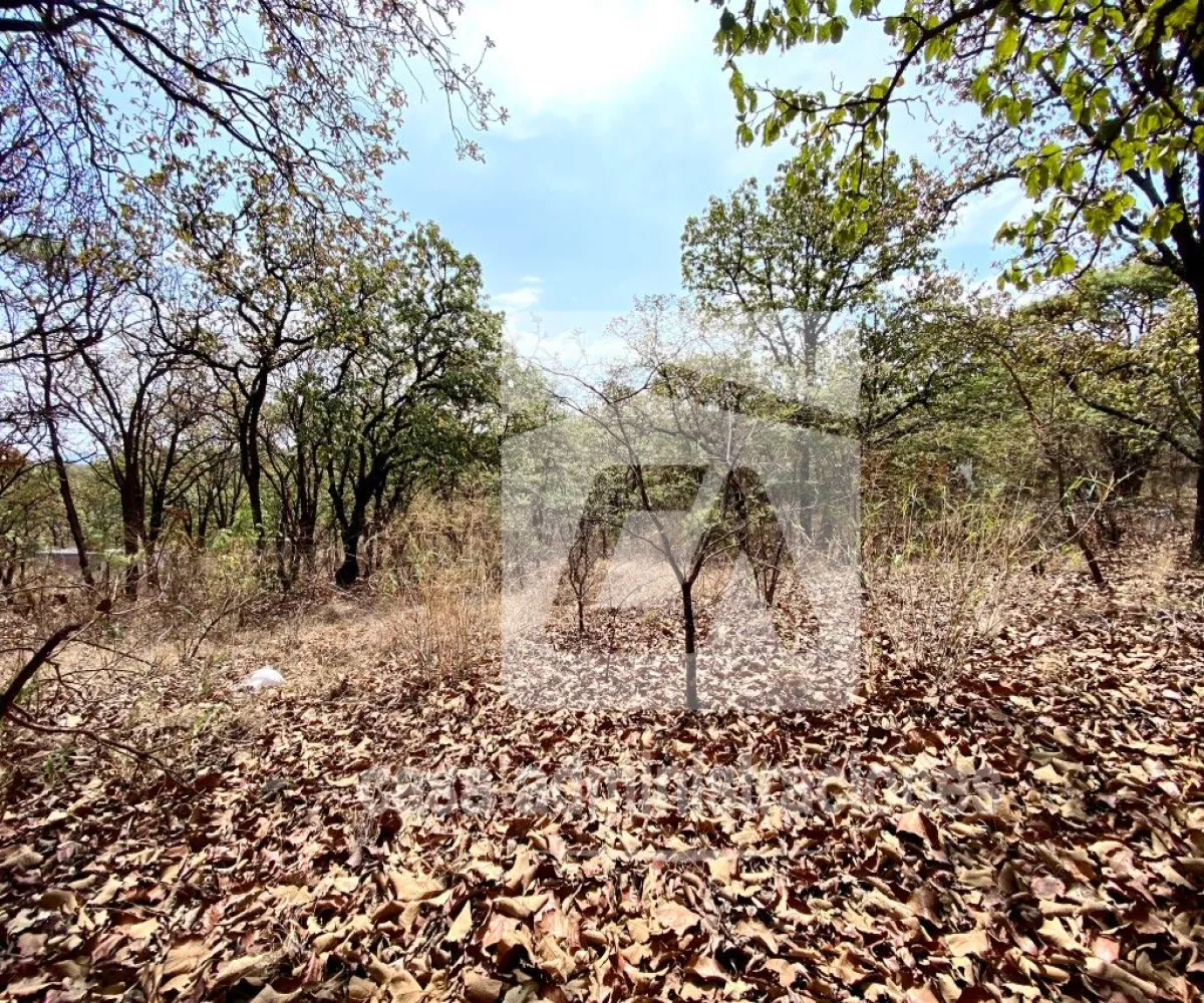 Terreno En Venta,El Roble,Privada de loe Encinos 55 1, El Arenal, Jalisco 45350,Privada de loe Encinos ,pz7rd2o Terreno En Venta,El Roble,Privada de loe Encinos 55 1, El Arenal, Jalisco 45350,Privada de loe Encinos ,pz7rd2o