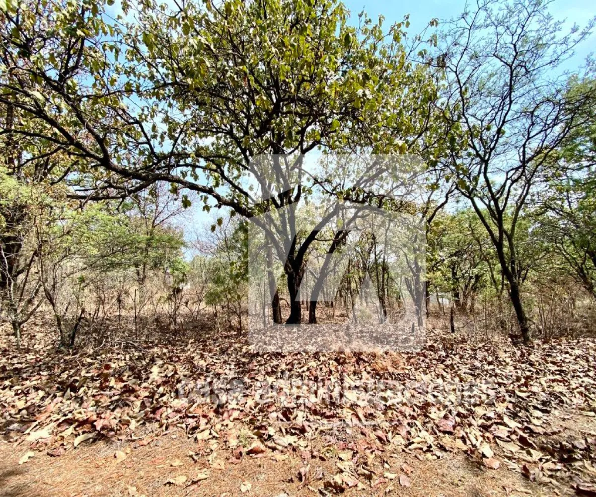 Terreno En Venta,El Roble,Privada de loe Encinos 55 1, El Arenal, Jalisco 45350,Privada de loe Encinos ,pz7rd2o Terreno En Venta,El Roble,Privada de loe Encinos 55 1, El Arenal, Jalisco 45350,Privada de loe Encinos ,pz7rd2o