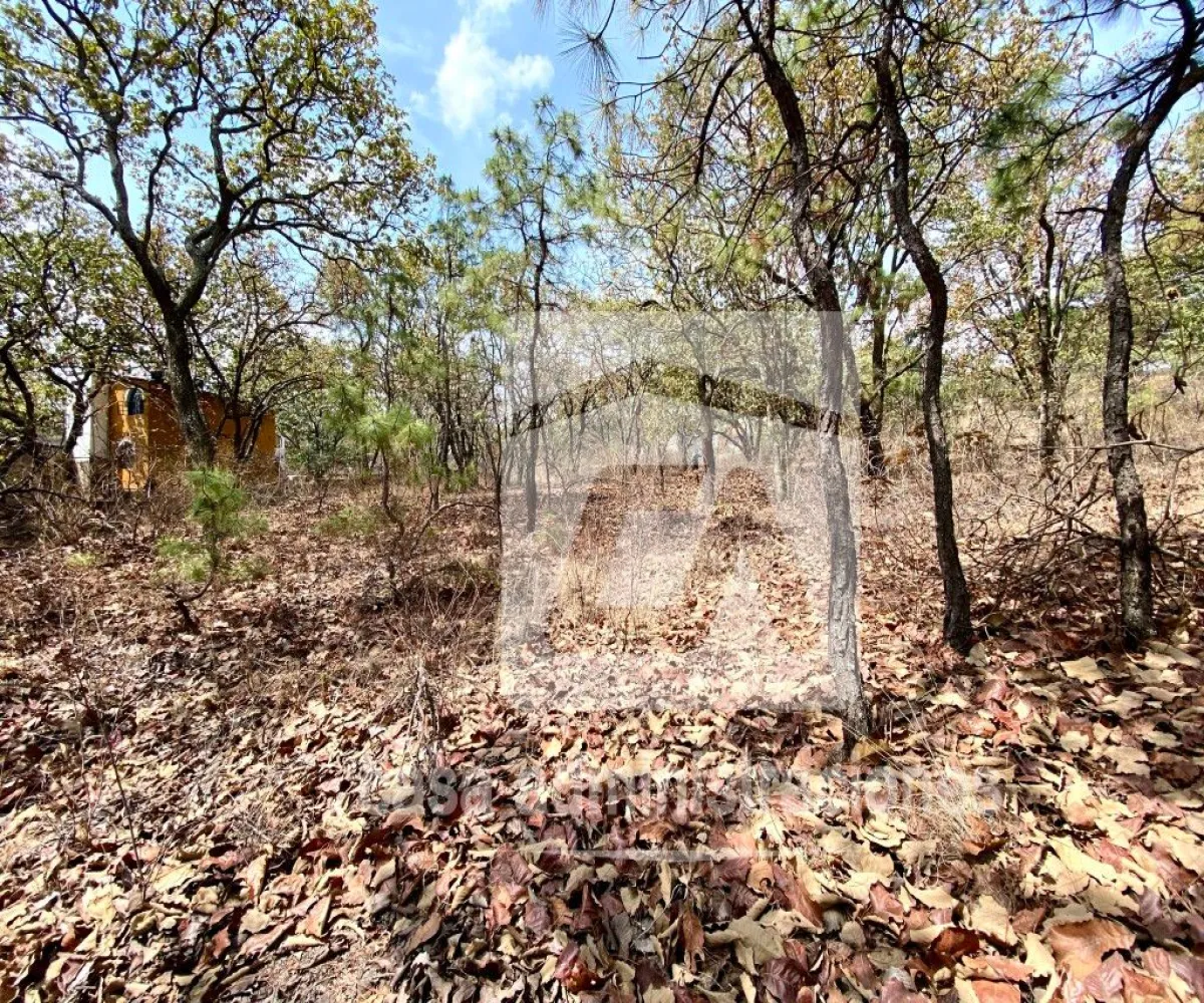 Terreno En Venta,El Roble,Privada de loe Encinos 55 1, El Arenal, Jalisco 45350,Privada de loe Encinos ,pz7rd2o Terreno En Venta,El Roble,Privada de loe Encinos 55 1, El Arenal, Jalisco 45350,Privada de loe Encinos ,pz7rd2o