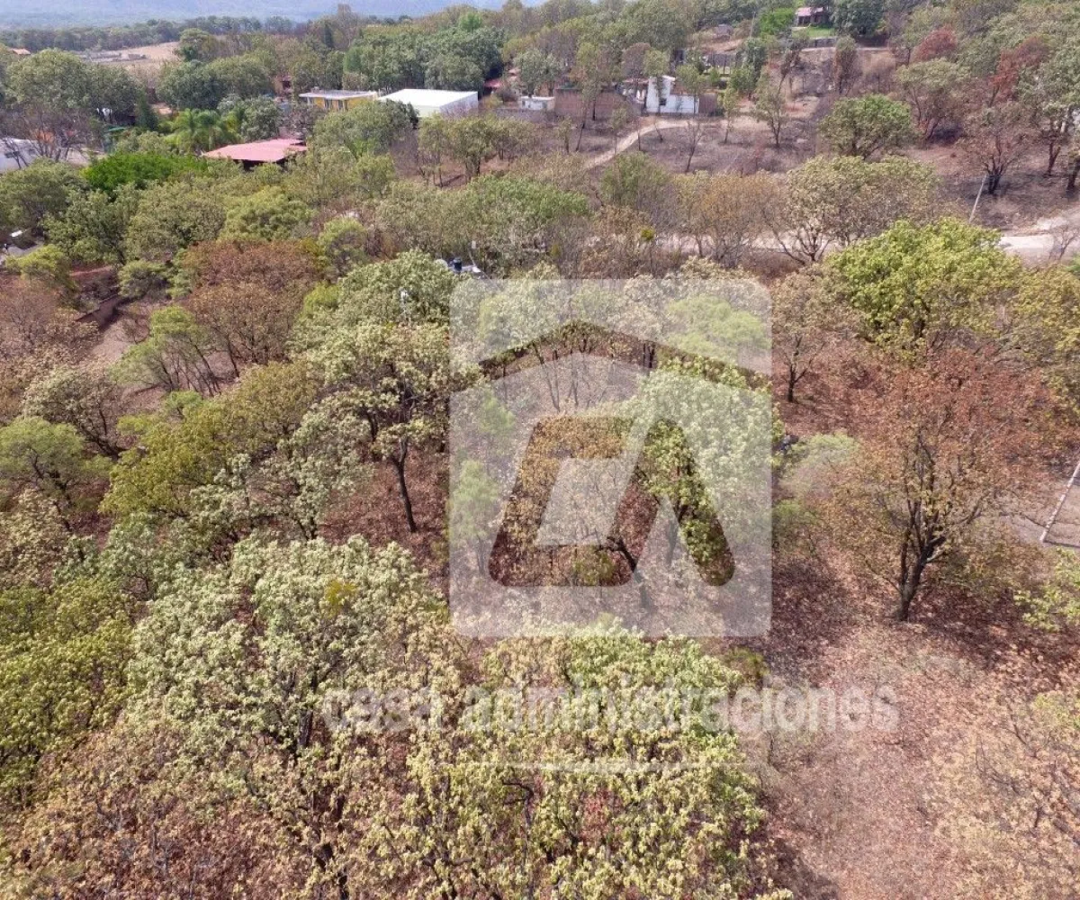 Terreno En Venta,El Roble,Privada de loe Encinos 55 1, El Arenal, Jalisco 45350,Privada de loe Encinos ,pz7rd2o Terreno En Venta,El Roble,Privada de loe Encinos 55 1, El Arenal, Jalisco 45350,Privada de loe Encinos ,pz7rd2o