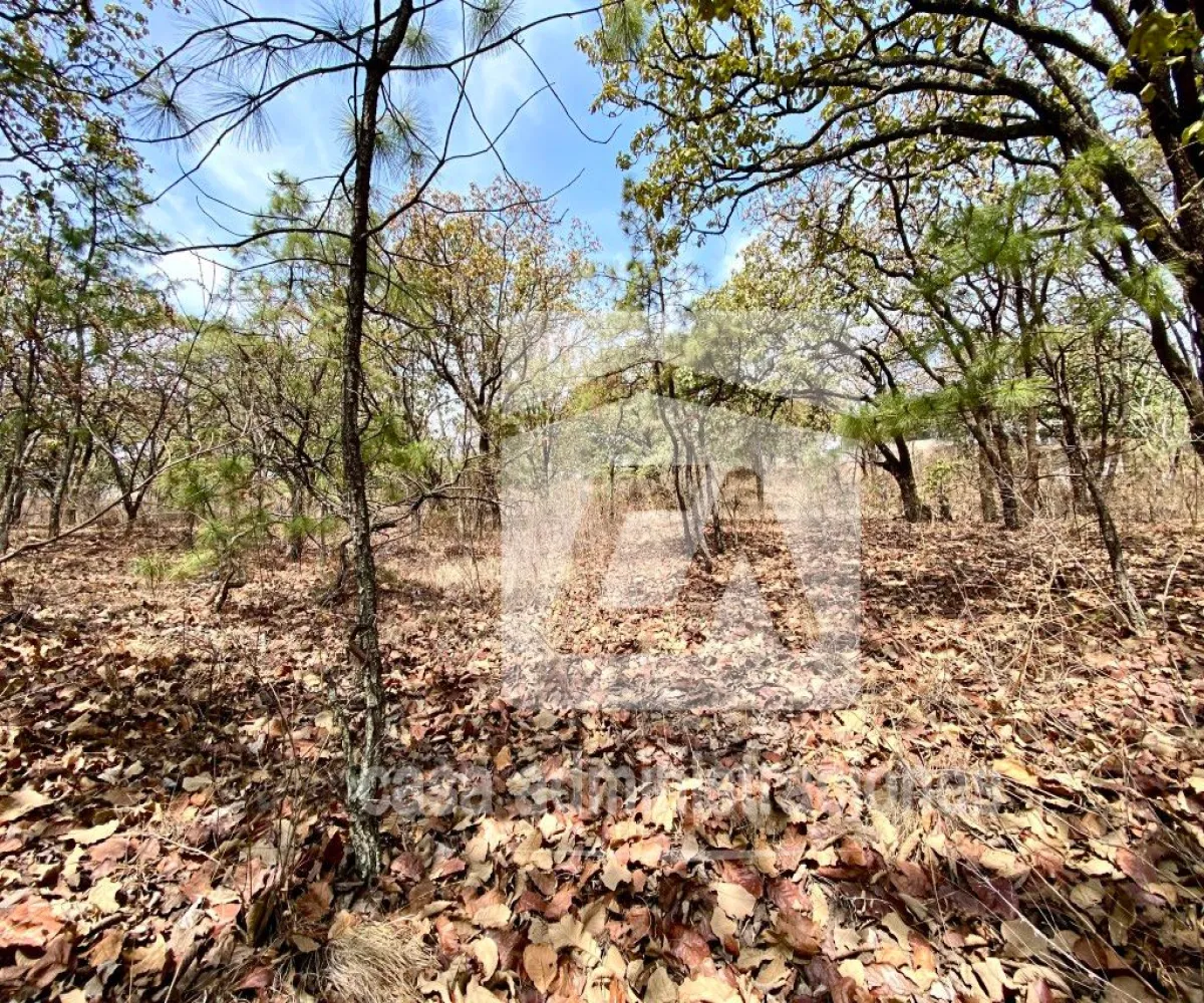 Terreno En Venta,El Roble,Privada de loe Encinos 55 1, El Arenal, Jalisco 45350,Privada de loe Encinos ,pz7rd2o Terreno En Venta,El Roble,Privada de loe Encinos 55 1, El Arenal, Jalisco 45350,Privada de loe Encinos ,pz7rd2o