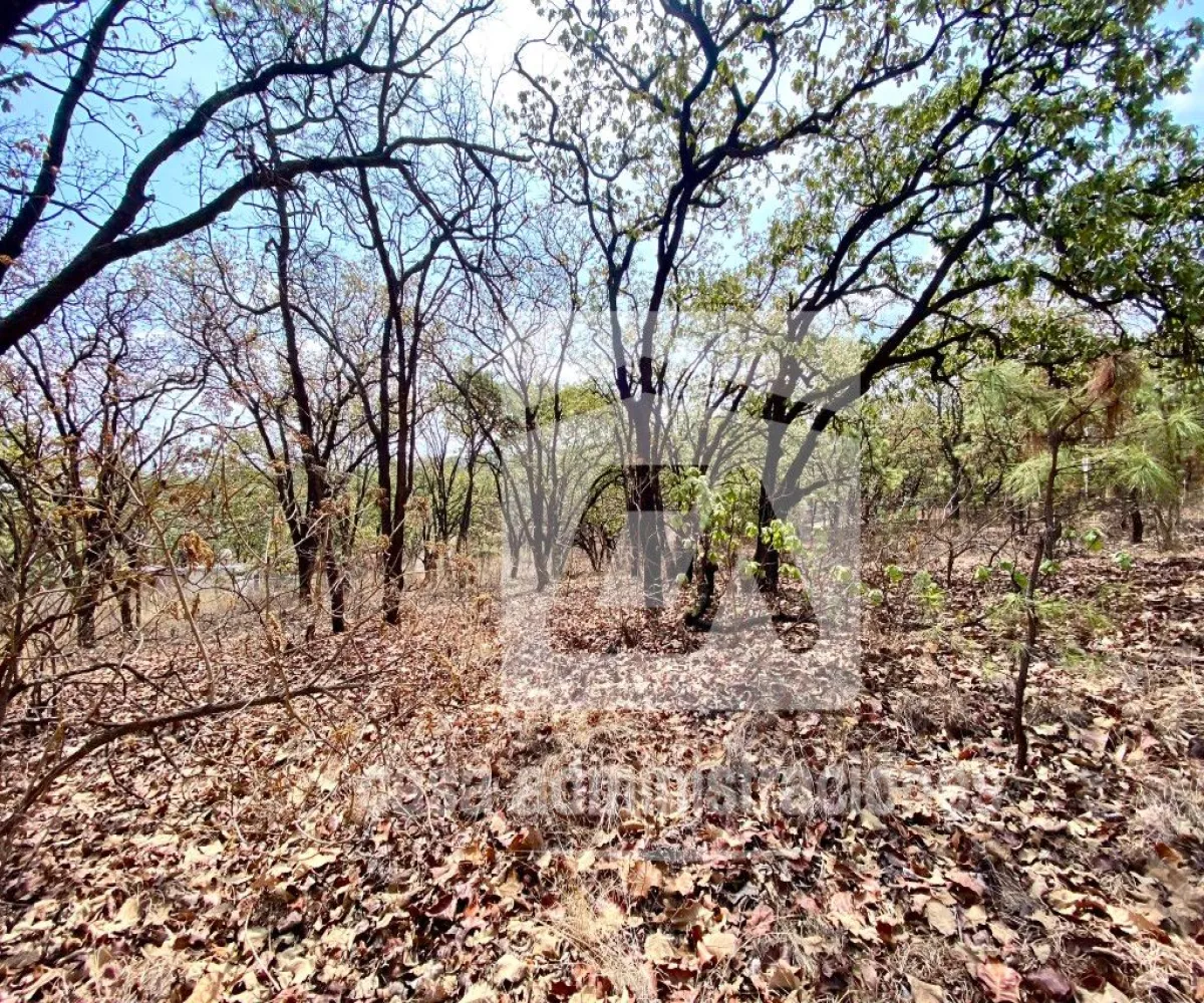 Terreno En Venta,El Roble,Privada de loe Encinos 55 1, El Arenal, Jalisco 45350,Privada de loe Encinos ,pz7rd2o Terreno En Venta,El Roble,Privada de loe Encinos 55 1, El Arenal, Jalisco 45350,Privada de loe Encinos ,pz7rd2o