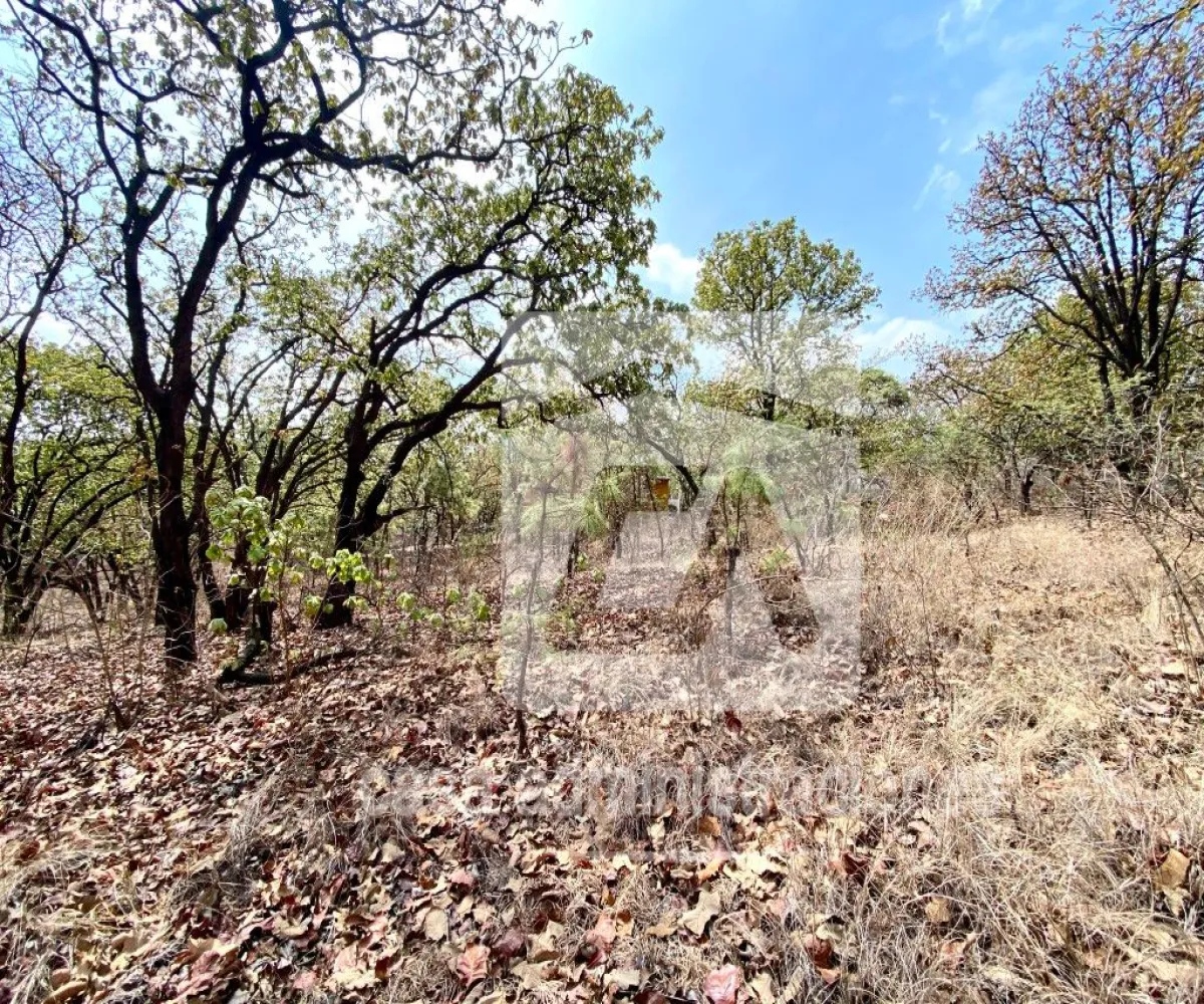 Terreno En Venta,El Roble,Privada de loe Encinos 55 1, El Arenal, Jalisco 45350,Privada de loe Encinos ,pz7rd2o Terreno En Venta,El Roble,Privada de loe Encinos 55 1, El Arenal, Jalisco 45350,Privada de loe Encinos ,pz7rd2o