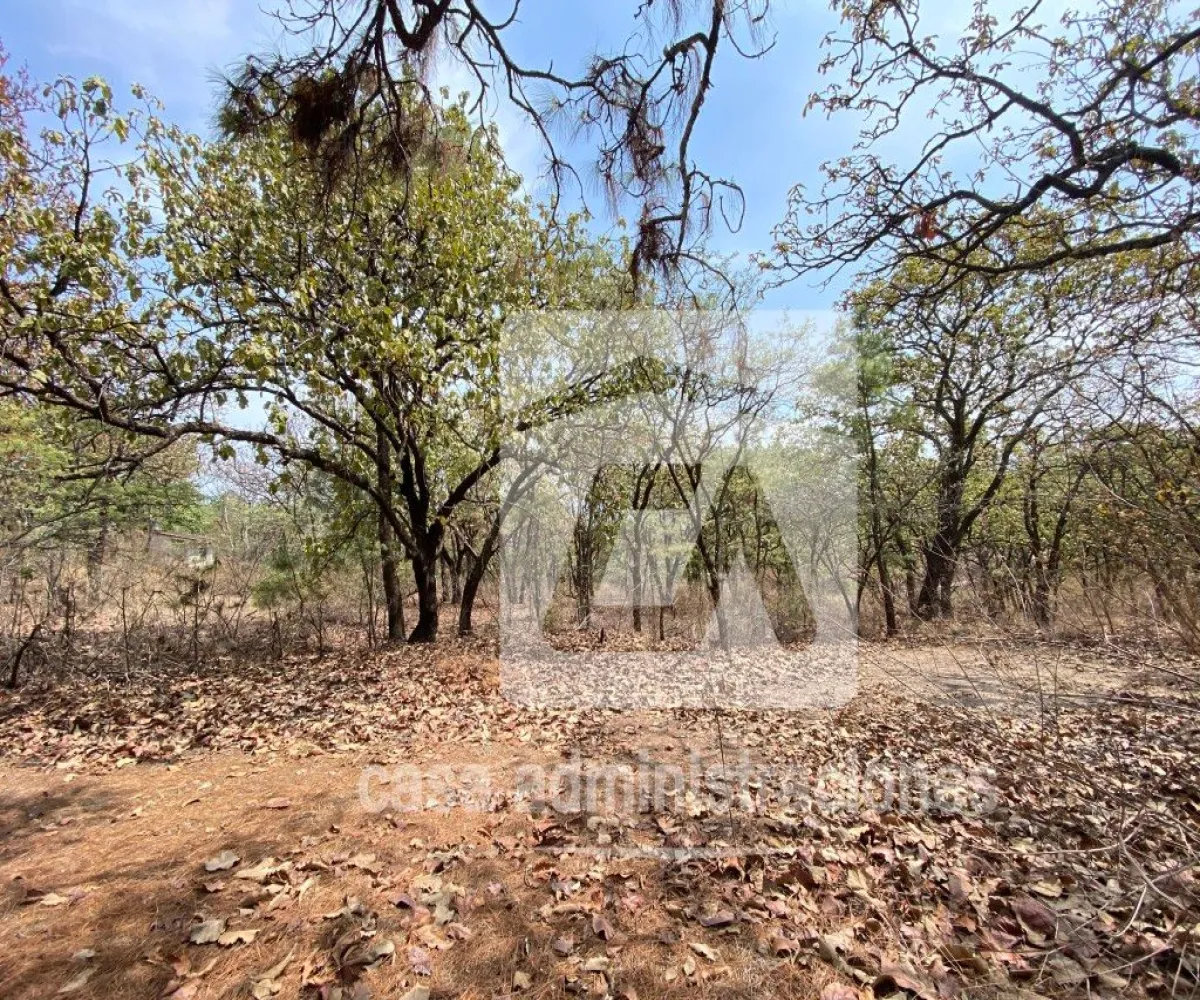 Terreno En Venta,El Roble,Privada de loe Encinos 55 1, El Arenal, Jalisco 45350,Privada de loe Encinos ,pz7rd2o Terreno En Venta,El Roble,Privada de loe Encinos 55 1, El Arenal, Jalisco 45350,Privada de loe Encinos ,pz7rd2o