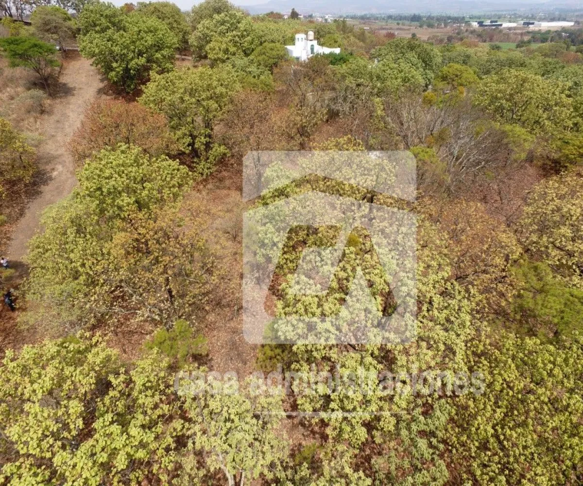 Terreno En Venta,El Roble,Privada de loe Encinos 55 1, El Arenal, Jalisco 45350,Privada de loe Encinos ,pz7rd2o Terreno En Venta,El Roble,Privada de loe Encinos 55 1, El Arenal, Jalisco 45350,Privada de loe Encinos ,pz7rd2o