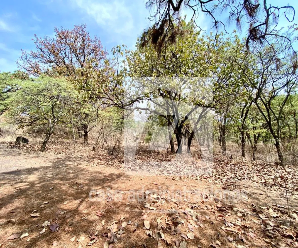 Terreno En Venta,El Roble,Privada de loe Encinos 55 1, El Arenal, Jalisco 45350,Privada de loe Encinos ,pz7rd2o Terreno En Venta,El Roble,Privada de loe Encinos 55 1, El Arenal, Jalisco 45350,Privada de loe Encinos ,pz7rd2o