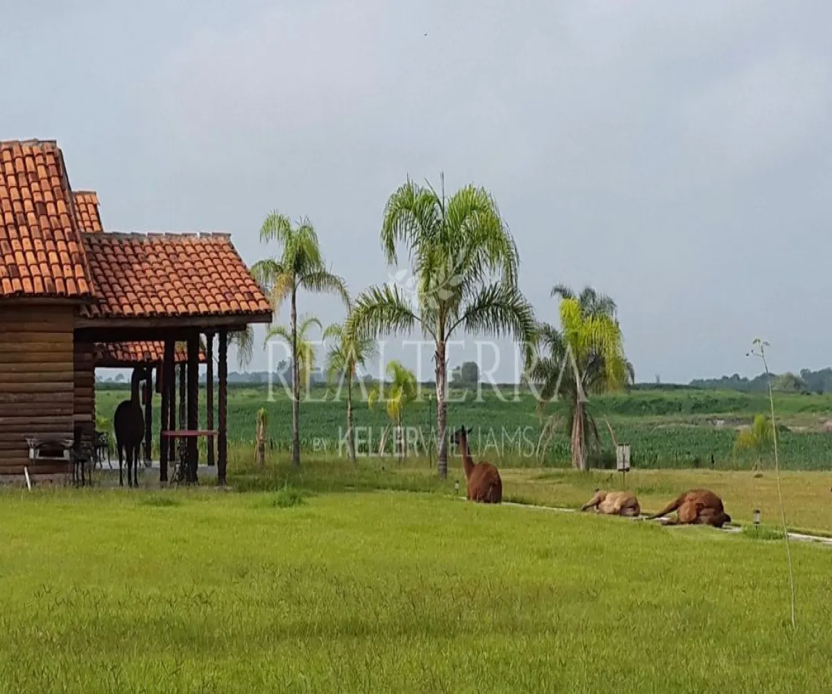 Terreno En Venta,LA VEGA ,Potrero Tecomatitos 2, Teuchitlán, Jalisco 45325,Potrero Tecomatitos,p1bcWG1 Terreno En Venta,LA VEGA ,Potrero Tecomatitos 2, Teuchitlán, Jalisco 45325,Potrero Tecomatitos,p1bcWG1