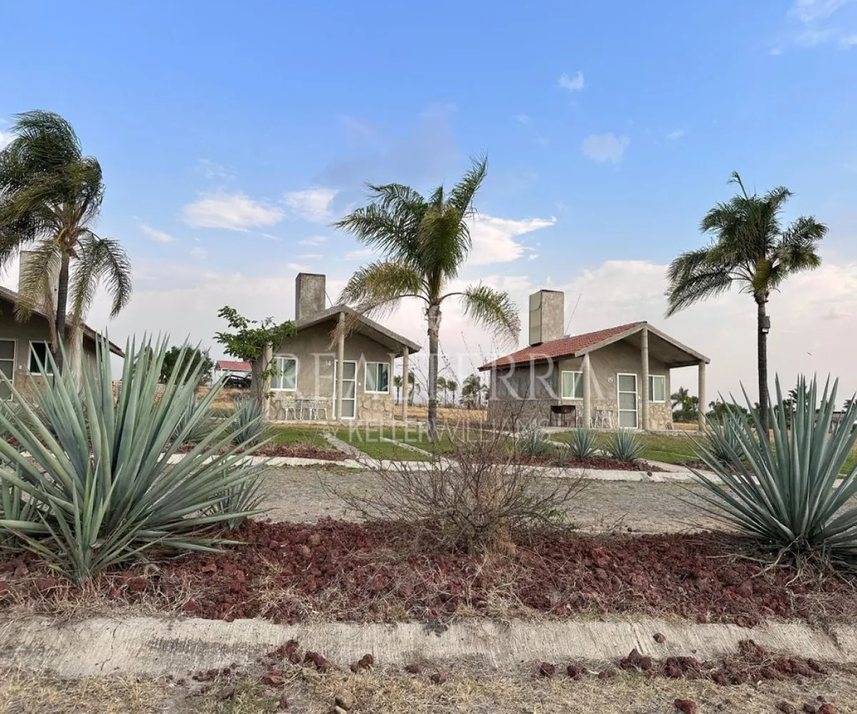 Terreno En Venta,LA VEGA ,Potrero Tecomatitos 2, Teuchitlán, Jalisco 45325,Potrero Tecomatitos,pCkcI0F Terreno En Venta,LA VEGA ,Potrero Tecomatitos 2, Teuchitlán, Jalisco 45325,Potrero Tecomatitos,pCkcI0F