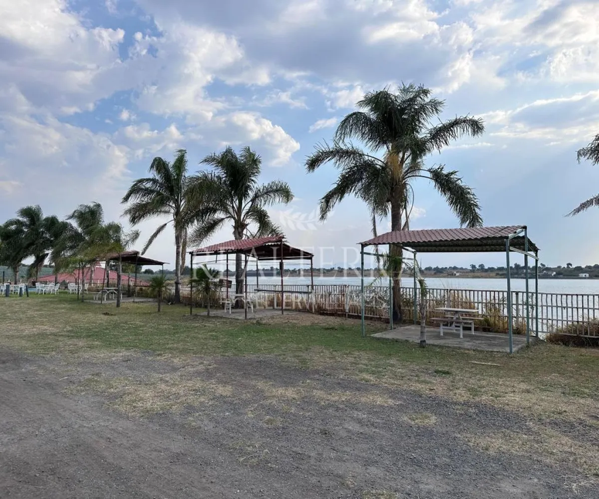 Terreno En Venta,LA VEGA ,Potrero Tecomatitos 2, Teuchitlán, Jalisco 45325,Potrero Tecomatitos,pCkcI0F Terreno En Venta,LA VEGA ,Potrero Tecomatitos 2, Teuchitlán, Jalisco 45325,Potrero Tecomatitos,pCkcI0F