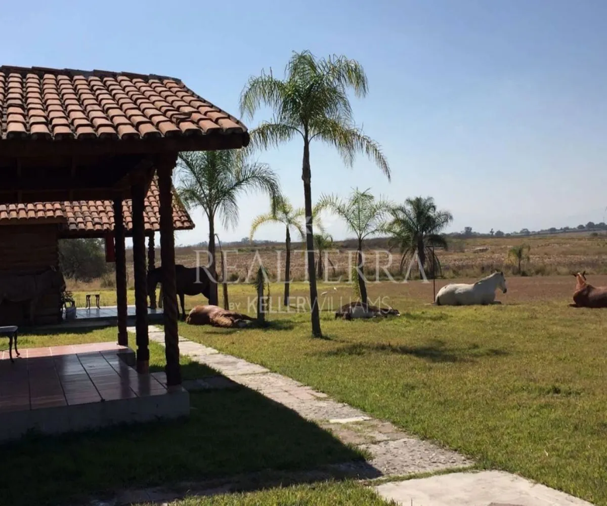 Terreno En Venta,LA VEGA ,Potrero Tecomatitos 2, Teuchitlán, Jalisco 45325,Potrero Tecomatitos,pCkcI0F Terreno En Venta,LA VEGA ,Potrero Tecomatitos 2, Teuchitlán, Jalisco 45325,Potrero Tecomatitos,pCkcI0F