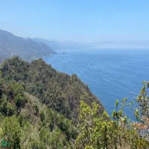 Terreno En Venta,Conchas Chinas,N/A N/A, Puerto Vallarta, Jalisco 48390,N/A,MX2285964