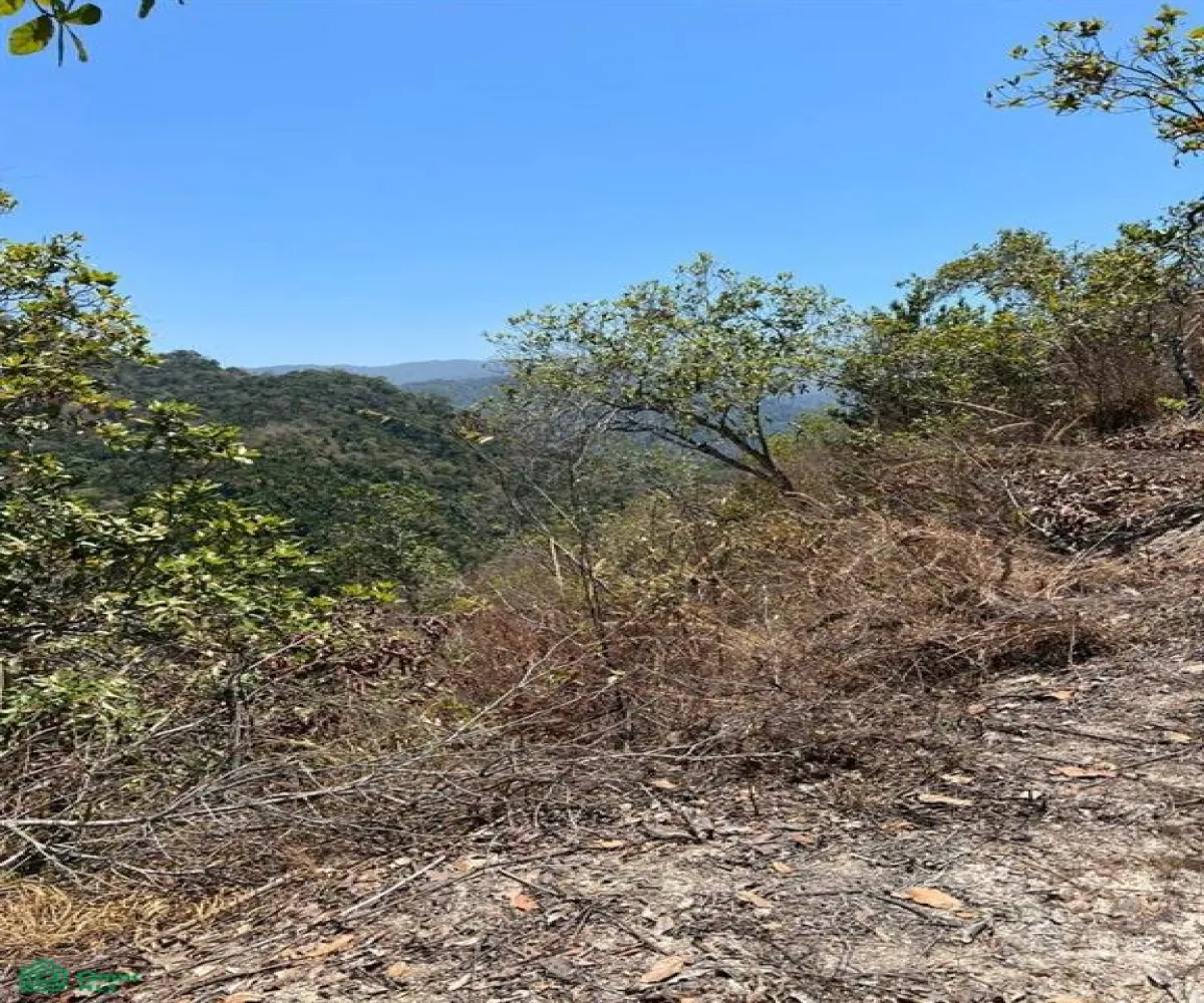 Terreno En Venta,Conchas Chinas,N/A 1 N/A 1, Puerto Vallarta, Jalisco 48390,N/A 1,MX2285965 Terreno En Venta,Conchas Chinas,N/A 1 N/A 1, Puerto Vallarta, Jalisco 48390,N/A 1,MX2285965