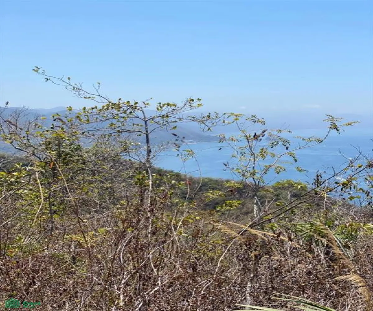 Terreno En Venta,Conchas Chinas,N/A 2 N/A 2, Puerto Vallarta, Jalisco 48390,N/A 2,MX2285966 Terreno En Venta,Conchas Chinas,N/A 2 N/A 2, Puerto Vallarta, Jalisco 48390,N/A 2,MX2285966