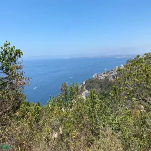 Terreno En Venta,Conchas Chinas,N/A 8 N/A 8, Puerto Vallarta, Jalisco 48390,N/A 8,MX2285972