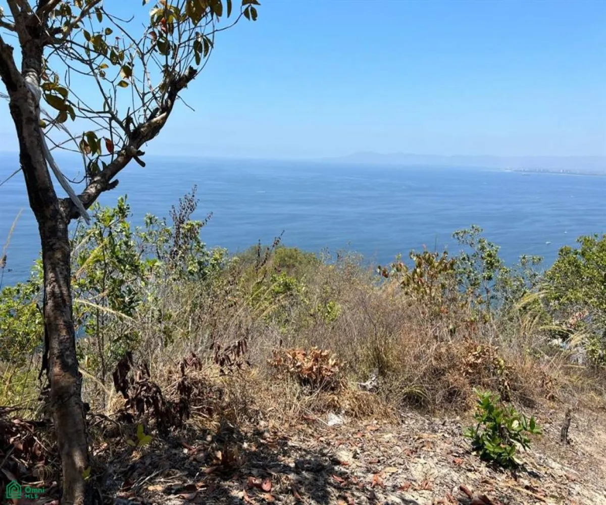 Terreno En Venta,Conchas Chinas,N/A 8 N/A 8, Puerto Vallarta, Jalisco 48390,N/A 8,MX2285972 Terreno En Venta,Conchas Chinas,N/A 8 N/A 8, Puerto Vallarta, Jalisco 48390,N/A 8,MX2285972