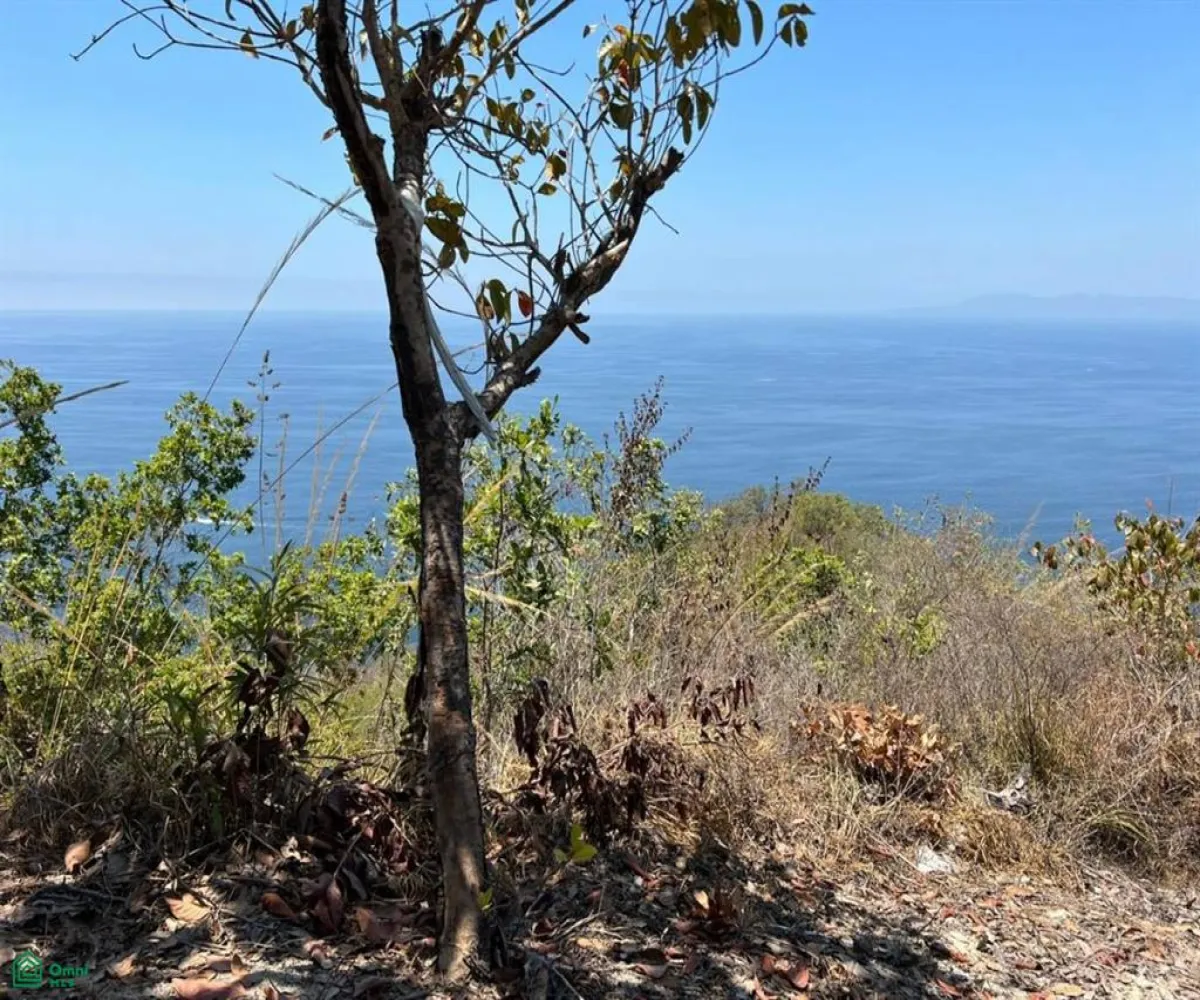 Terreno En Venta,Conchas Chinas,N/A 9 N/A 9, Puerto Vallarta, Jalisco 48390,N/A 9,MX2285974 Terreno En Venta,Conchas Chinas,N/A 9 N/A 9, Puerto Vallarta, Jalisco 48390,N/A 9,MX2285974