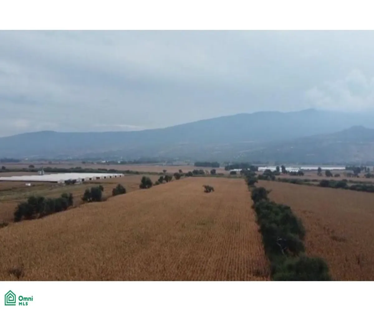 Local En Venta,Tlajomulco Centro,OCONAGUA S/N, Tlajomulco de Zuniga, Jalisco 45642,OCONAGUA,MX23197685 Local En Venta,Tlajomulco Centro,OCONAGUA S/N, Tlajomulco de Zuniga, Jalisco 45642,OCONAGUA,MX23197685