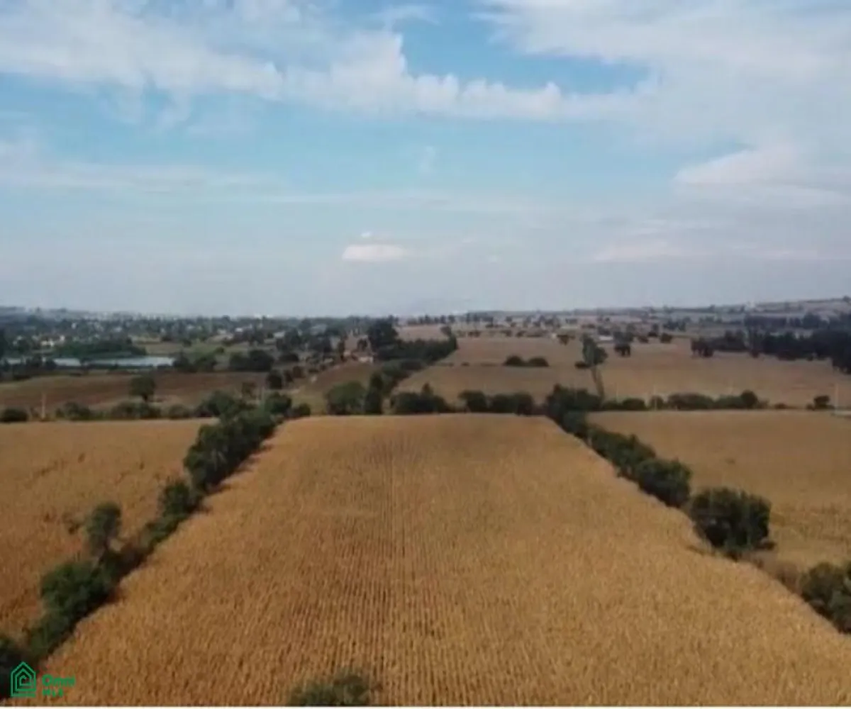 Local En Venta,Tlajomulco Centro,OCONAGUA S/N, Tlajomulco de Zuniga, Jalisco 45642,OCONAGUA,MX23197685 Local En Venta,Tlajomulco Centro,OCONAGUA S/N, Tlajomulco de Zuniga, Jalisco 45642,OCONAGUA,MX23197685