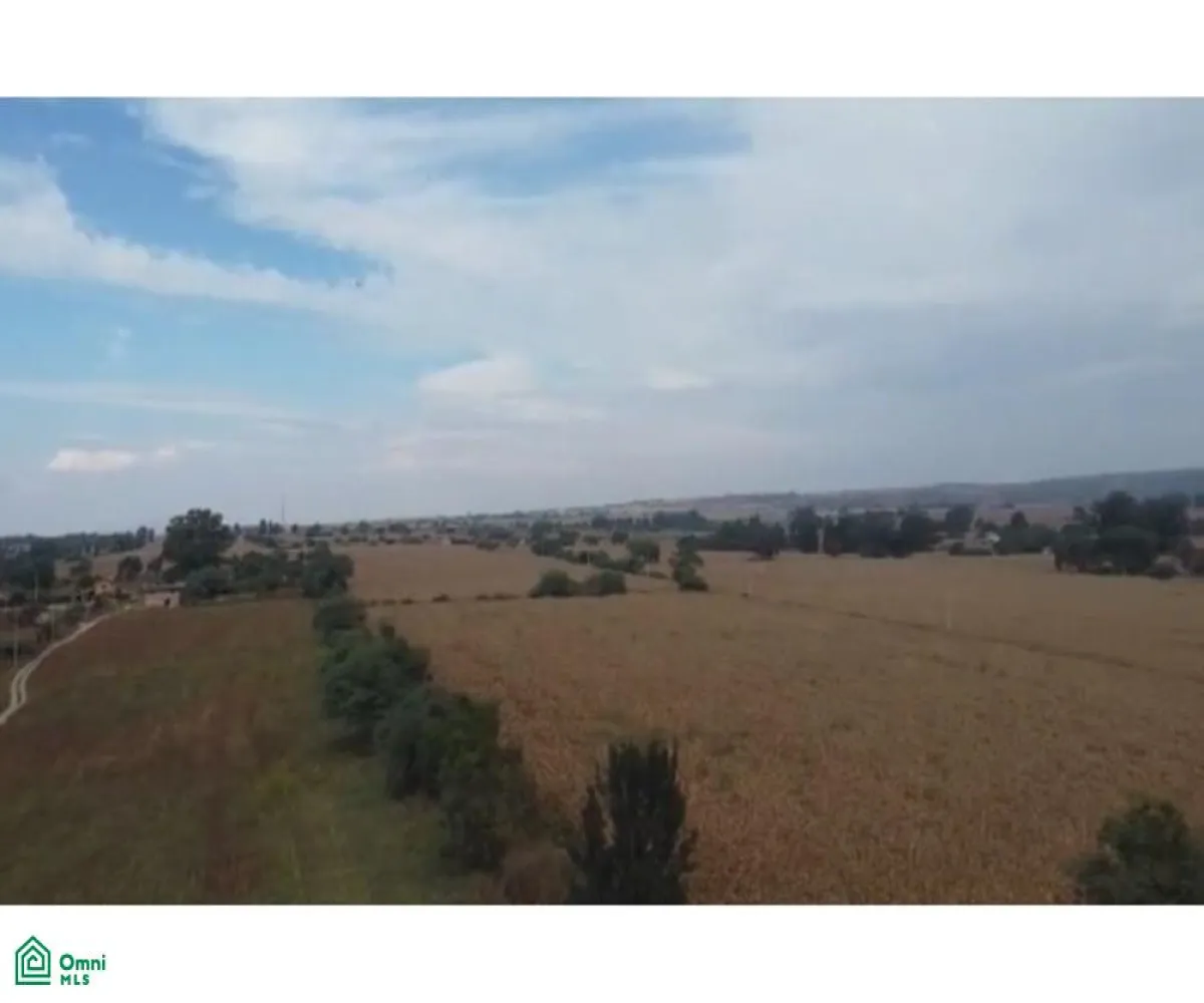 Local En Venta,Tlajomulco Centro,OCONAGUA S/N, Tlajomulco de Zuniga, Jalisco 45642,OCONAGUA,MX23197685 Local En Venta,Tlajomulco Centro,OCONAGUA S/N, Tlajomulco de Zuniga, Jalisco 45642,OCONAGUA,MX23197685