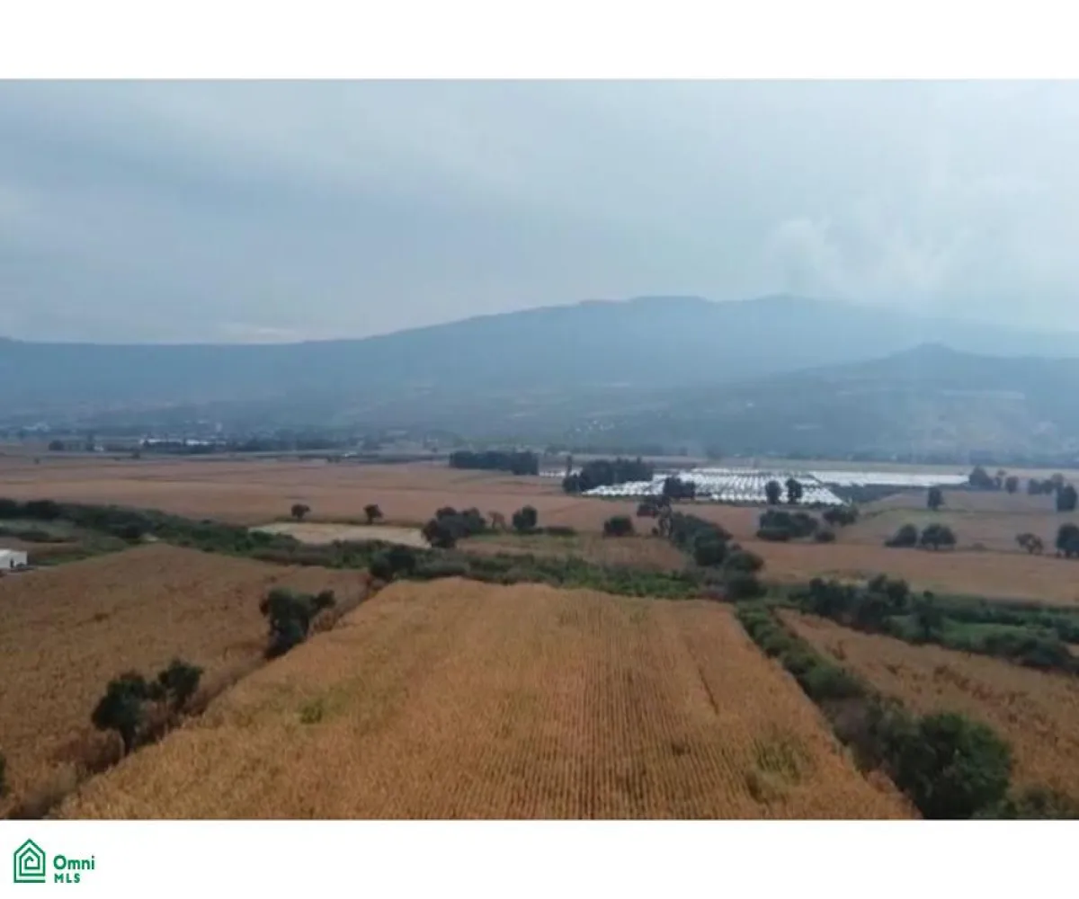 Local En Venta,Tlajomulco Centro,OCONAGUA S/N, Tlajomulco de Zuniga, Jalisco 45642,OCONAGUA,MX23197685 Local En Venta,Tlajomulco Centro,OCONAGUA S/N, Tlajomulco de Zuniga, Jalisco 45642,OCONAGUA,MX23197685