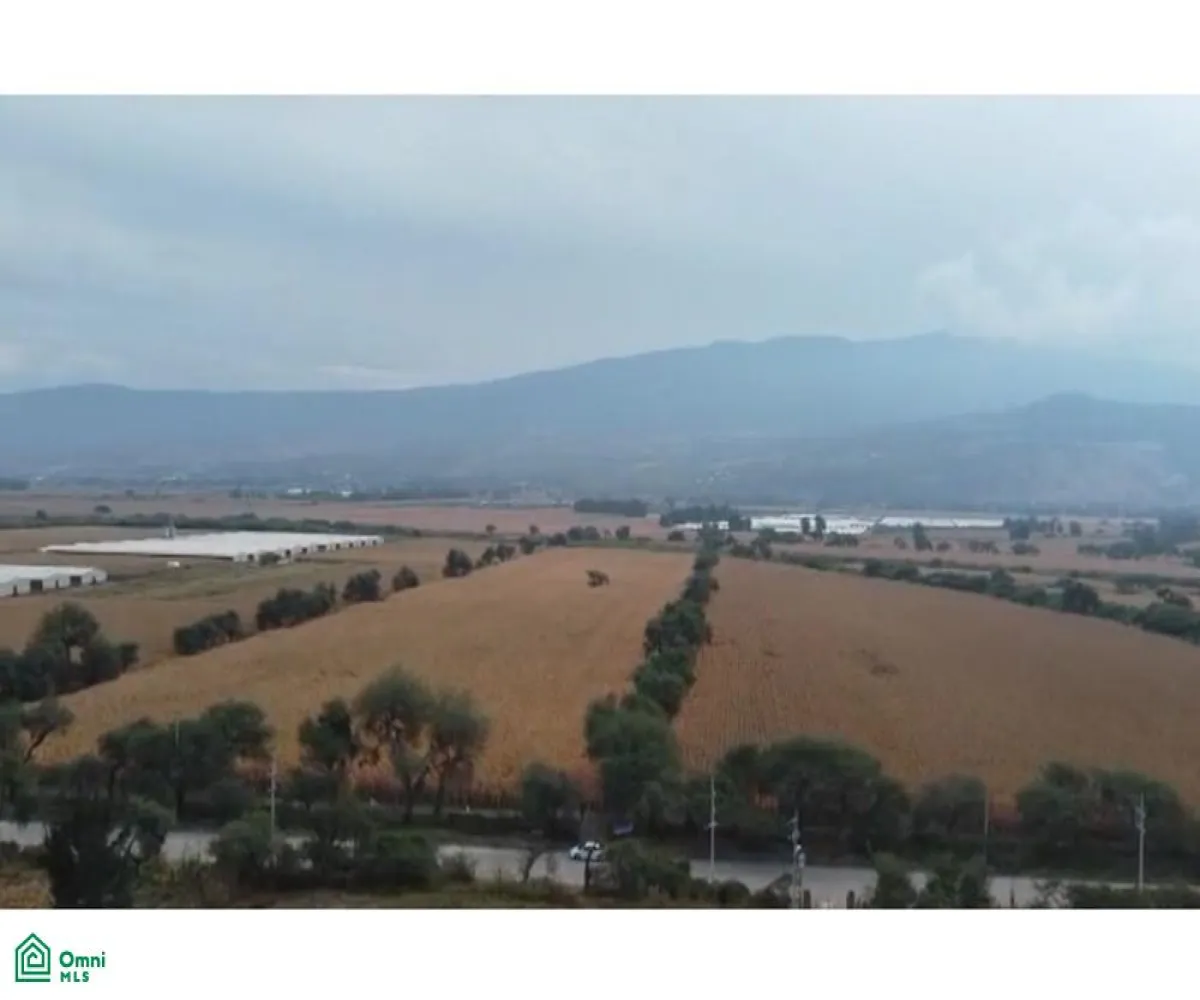 Local En Venta,Tlajomulco Centro,OCONAGUA S/N, Tlajomulco de Zuniga, Jalisco 45642,OCONAGUA,MX23197685 Local En Venta,Tlajomulco Centro,OCONAGUA S/N, Tlajomulco de Zuniga, Jalisco 45642,OCONAGUA,MX23197685