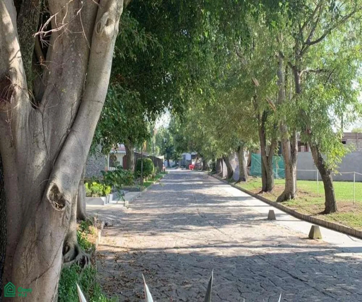 Local En Venta,La Mojonera,ramón corona 1991, Zapopan, Jalisco 45019,ramón corona,MX23201054