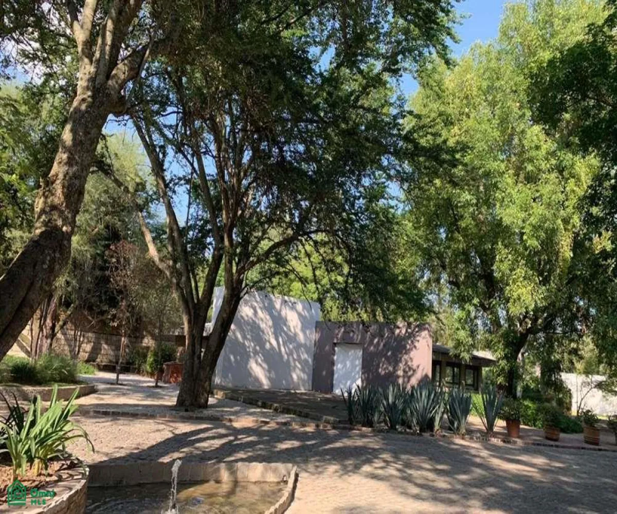 Local En Venta,La Mojonera,ramón corona 1991, Zapopan, Jalisco 45019,ramón corona,MX23201054