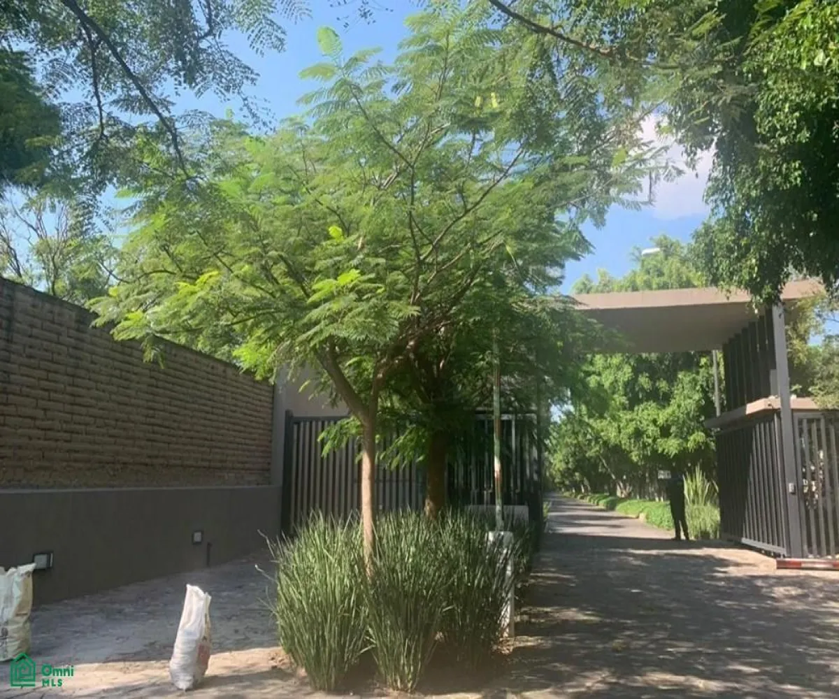 Local En Venta,La Mojonera,ramón corona 1991, Zapopan, Jalisco 45019,ramón corona,MX23201054
