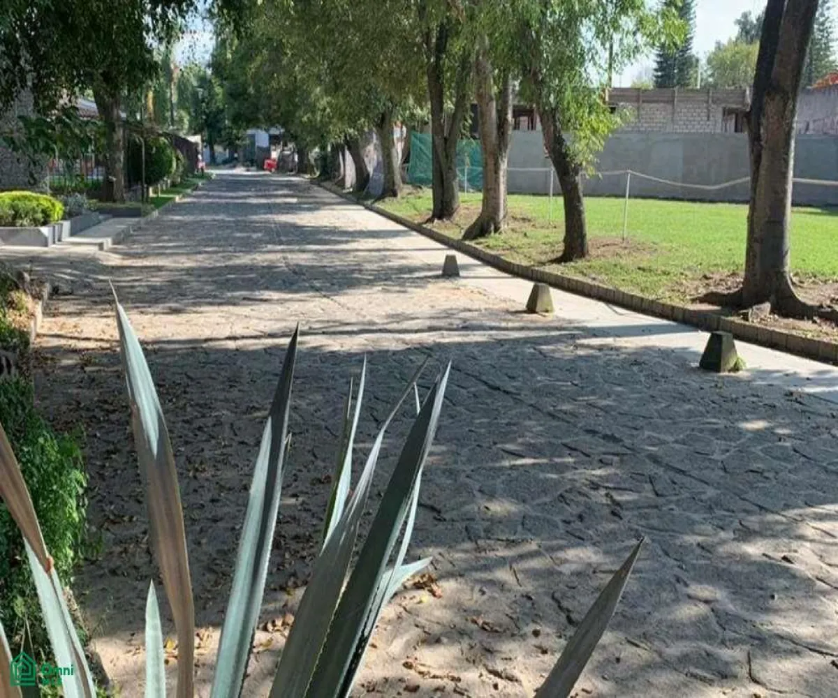 Local En Venta,La Mojonera,ramón corona 1991, Zapopan, Jalisco 45019,ramón corona,MX23201054